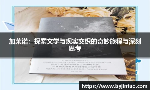 加莱诺：探索文学与现实交织的奇妙旅程与深刻思考